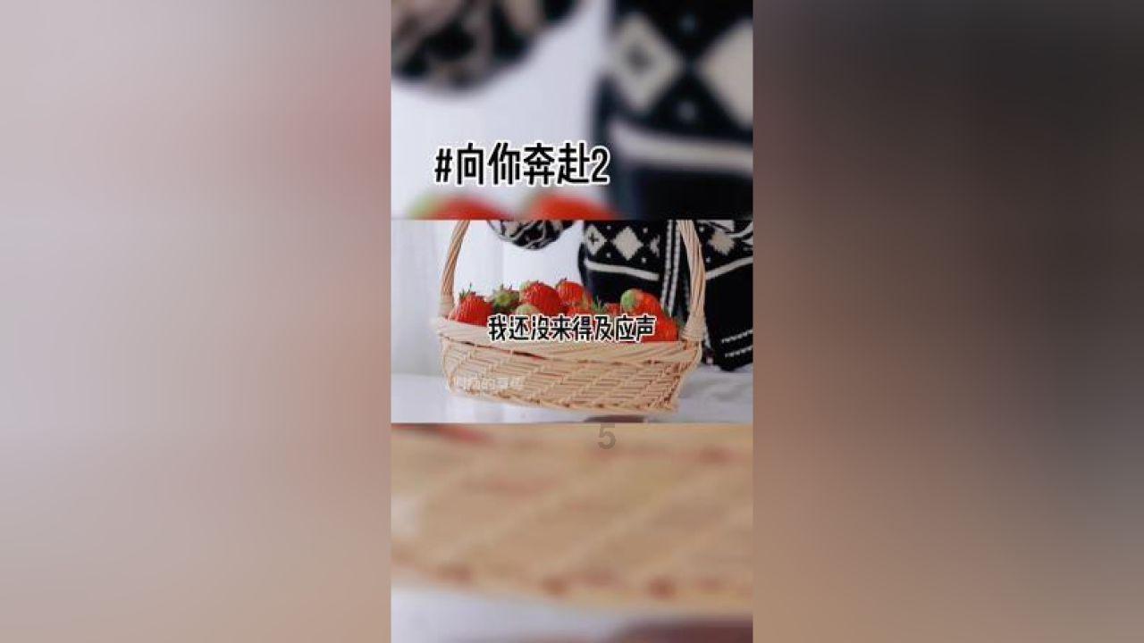 【楚天评】东湖评论:凝心聚力共奋进 携手画好同心圆