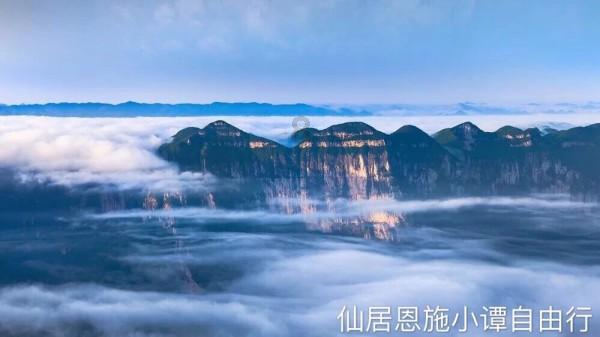 拯救机灵鸟