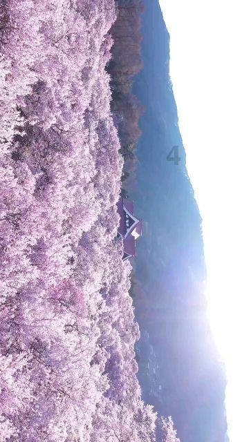 阜新的“白菜房”远胜鹤岗，中介三个月竟卖出了158套，这里房价怎么样？游戏画面