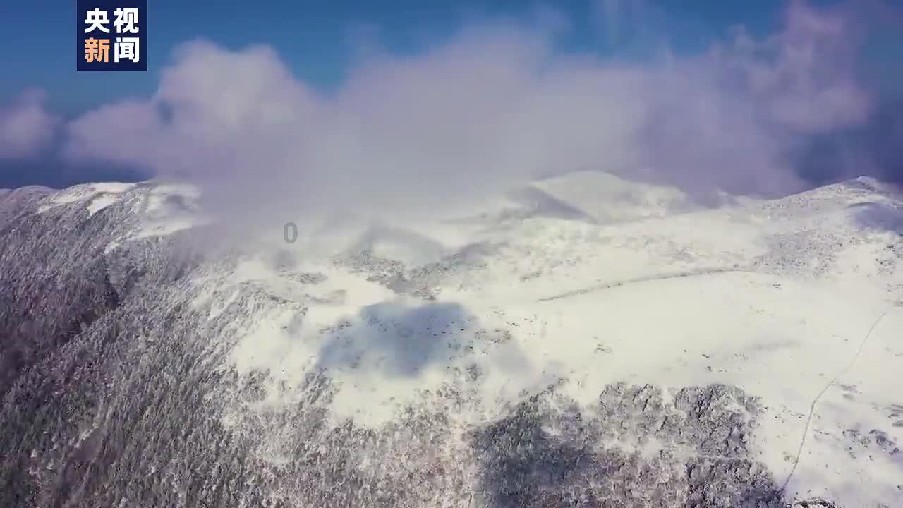 了解现在小学为什么不学珠算 了?,打开知识星球平台的大门