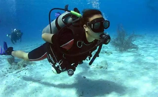 免票、打折……山东216家A级旅游景区推出春节优惠大礼包